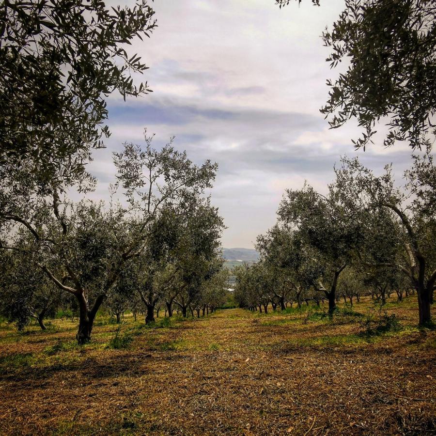 Racalmuto Villa Alessi - Dimora Storica المظهر الخارجي الصورة