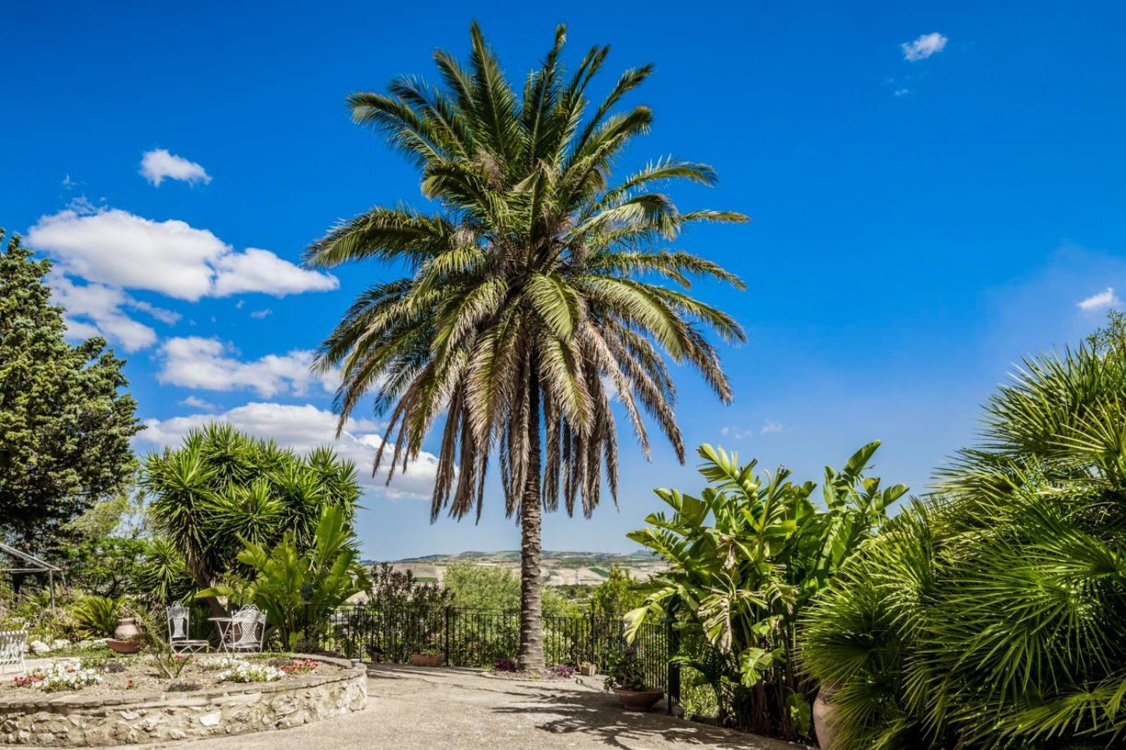 Racalmuto Villa Alessi - Dimora Storica المظهر الخارجي الصورة